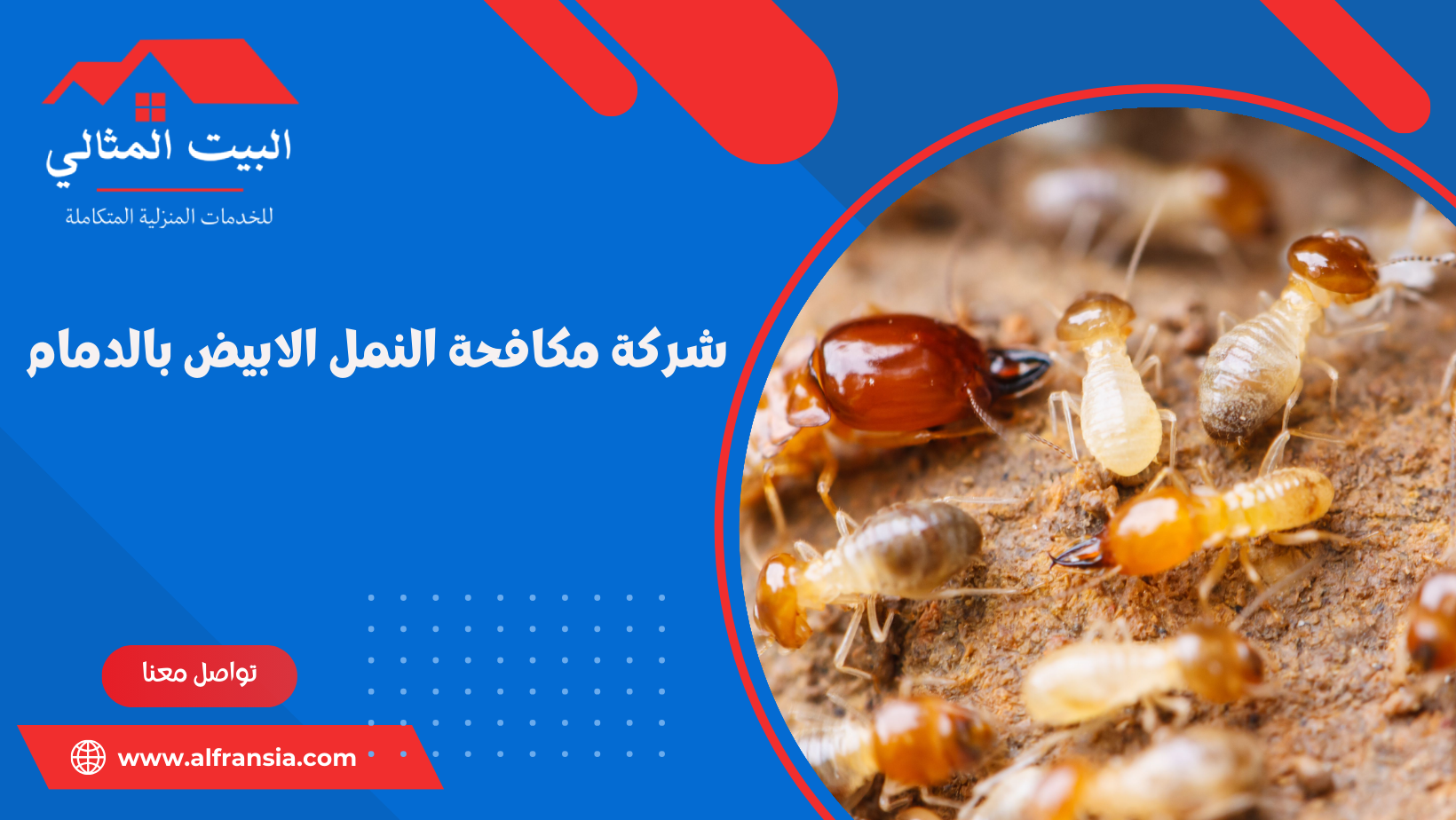 شركة تنظيف وغسيل مسابح بالاحساء