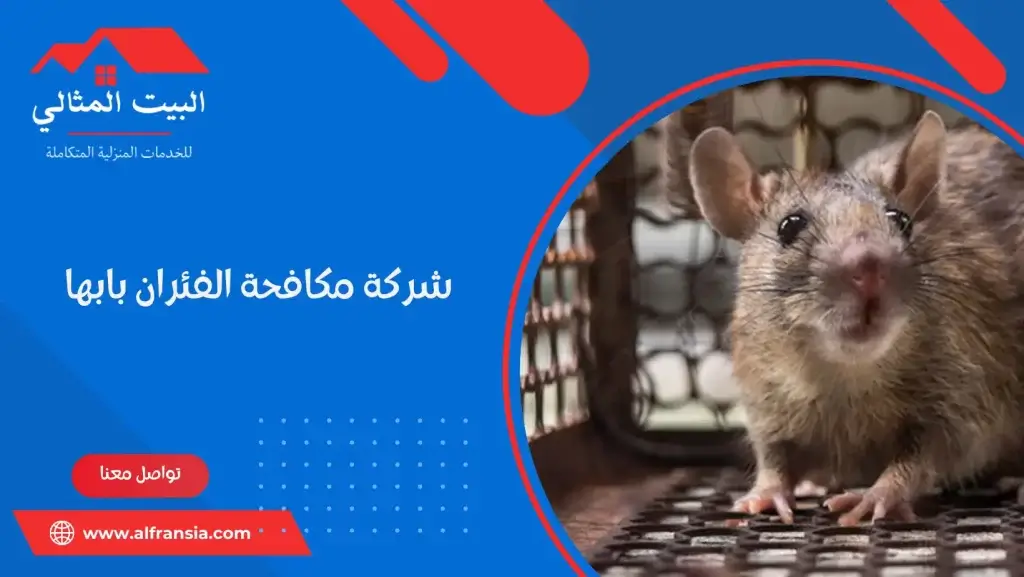 شركة مكافحة الفئران بابها