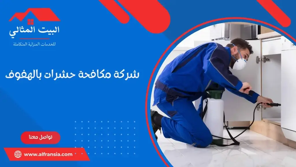 شركة مكافحة حشرات بالهفوف